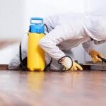 building and pest inspection Melbourne