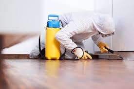 building and pest inspection Melbourne